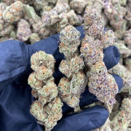 tesla purple