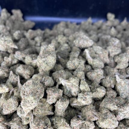 lemon cherry gelato