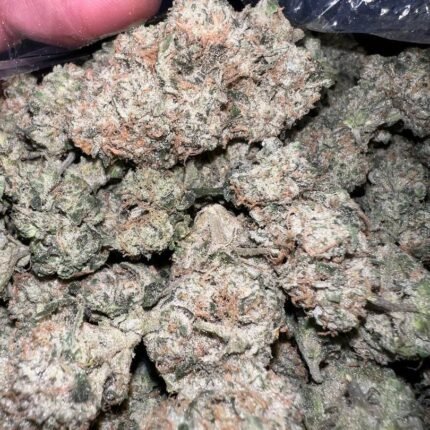 strawberry shortcake